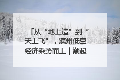 从“地上造”到“天上飞”，滨州低空经济乘势而上｜潮起渤海・网聚黄蓝