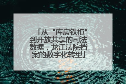 从“库房铁柜”到开放共享的司法数据，龙江法院档案的数字化转型