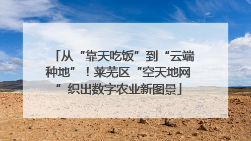 从“靠天吃饭”到“云端种地”！莱芜区“空天地网”织出数字农业新图景
