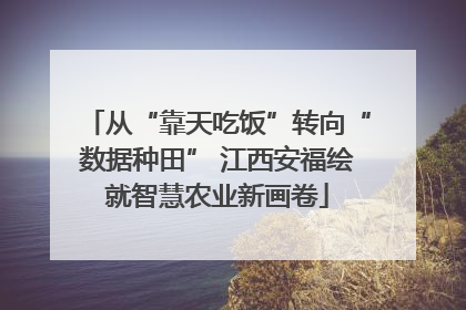 从“靠天吃饭”转向“数据种田” 江西安福绘就智慧农业新画卷
