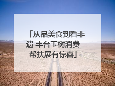 从品美食到看非遗 丰台玉树消费帮扶展有惊喜