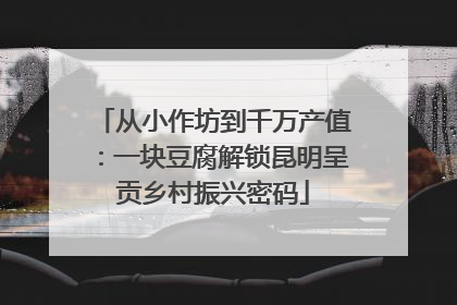 从小作坊到千万产值：一块豆腐解锁昆明呈贡乡村振兴密码