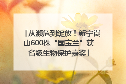 从濒危到绽放！新宁崀山600株“国宝兰”获省级生物保护嘉奖