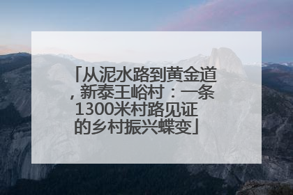 从泥水路到黄金道，新泰王峪村：一条1300米村路见证的乡村振兴蝶变