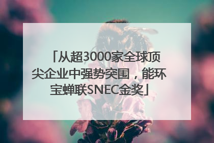 从超3000家全球顶尖企业中强势突围，能环宝蝉联SNEC金奖