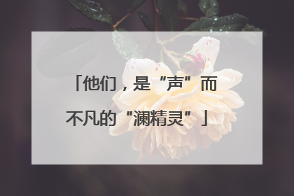 他们，是“声”而不凡的“澜精灵”