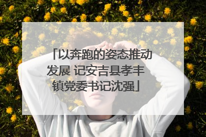 以奔跑的姿态推动发展 记安吉县孝丰镇党委书记沈强
