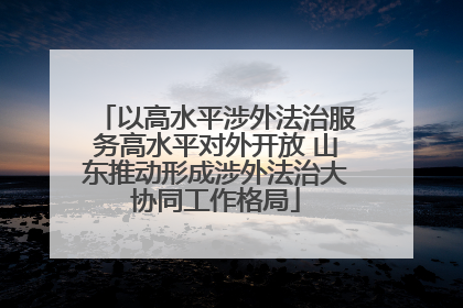 以高水平涉外法治服务高水平对外开放 山东推动形成涉外法治大协同工作格局