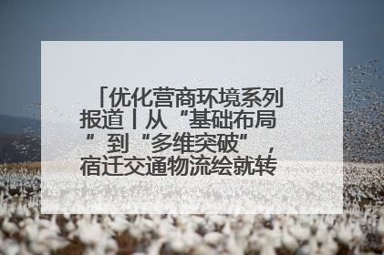 优化营商环境系列报道丨从“基础布局”到“多维突破”，宿迁交通物流绘就转型增效新画卷