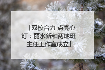 双校合力 点亮心灯：丽水新和两地班主任工作室成立