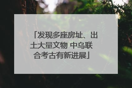 发现多座房址、出土大量文物 中乌联合考古有新进展