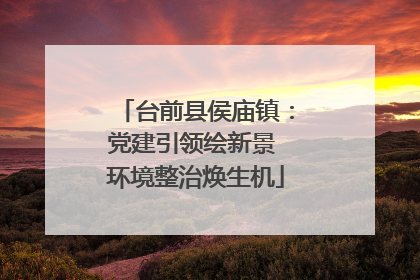 台前县侯庙镇：党建引领绘新景 环境整治焕生机