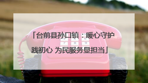 台前县孙口镇：暖心守护践初心 为民服务显担当