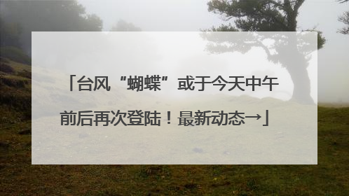 台风“蝴蝶”或于今天中午前后再次登陆！最新动态→