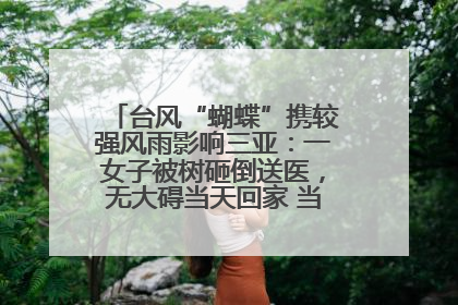 台风“蝴蝶”携较强风雨影响三亚：一女子被树砸倒送医，无大碍当天回家 当地已紧急清障