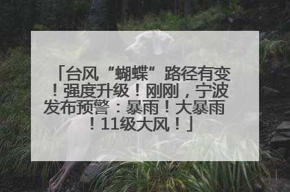台风“蝴蝶”路径有变！强度升级！刚刚，宁波发布预警：暴雨！大暴雨！11级大风！