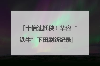 十倍速插秧！华容“铁牛”下田刷新纪录
