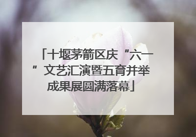 十堰茅箭区庆“六一”文艺汇演暨五育并举成果展圆满落幕
