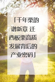 千年栗韵谱新章 迁西板栗高质发展背后的产业密码