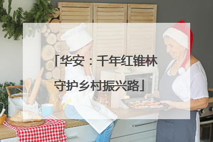 华安：千年红锥林守护乡村振兴路