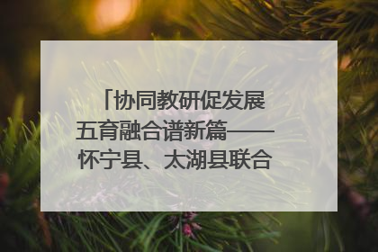 协同教研促发展 五育融合谱新篇——怀宁县、太湖县联合教研活动在月山镇中心学校成功举办