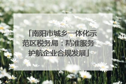南阳市城乡一体化示范区税务局：精准服务护航企业合规发展