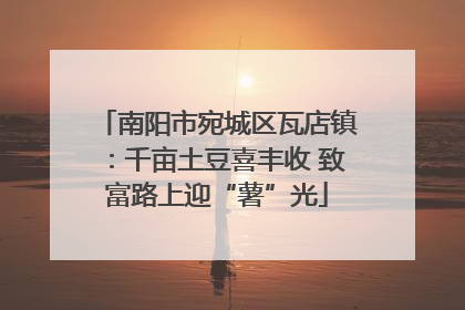 南阳市宛城区瓦店镇：千亩土豆喜丰收 致富路上迎“薯”光