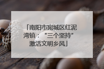 南阳市宛城区红泥湾镇：“三个坚持”激活文明乡风