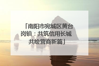 南阳市宛城区黄台岗镇：共筑信用长城 共绘营商新篇