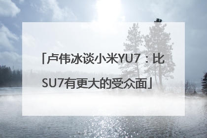 卢伟冰谈小米YU7：比SU7有更大的受众面