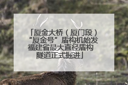 厦金大桥（厦门段）“厦金号”盾构机始发 福建省最大直径盾构隧道正式掘进