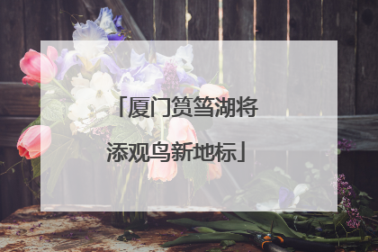 厦门筼筜湖将添观鸟新地标