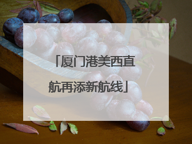 厦门港美西直航再添新航线