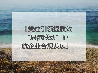 党建引领提质效 “局港联动”护航企业合规发展