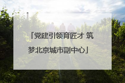 党建引领育匠才 筑梦北京城市副中心