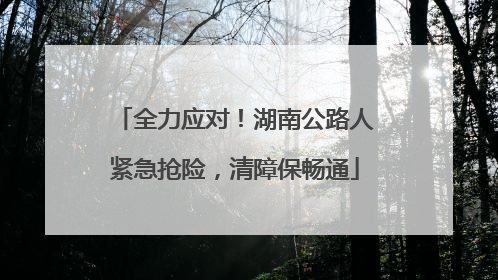 全力应对！湖南公路人紧急抢险，清障保畅通