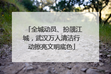 全城动员、扮靓江城，武汉万人清洁行动擦亮文明底色
