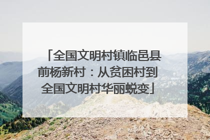 全国文明村镇临邑县前杨新村：从贫困村到全国文明村华丽蜕变