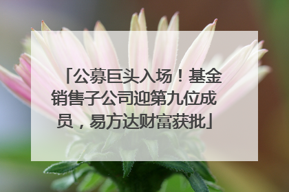 公募巨头入场！基金销售子公司迎第九位成员，易方达财富获批