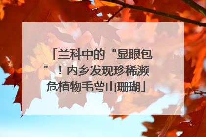 兰科中的“显眼包”！内乡发现珍稀濒危植物毛萼山珊瑚