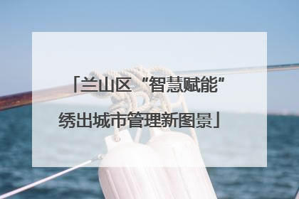 兰山区“智慧赋能”绣出城市管理新图景