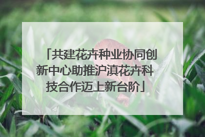 共建花卉种业协同创新中心助推沪滇花卉科技合作迈上新台阶