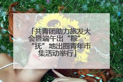 共青团助力旅发大会暨端午出“粽”·“抚”地出圈青年市集活动举行