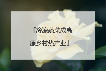 冷凉蔬菜成高原乡村热产业