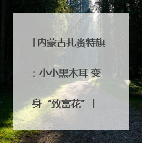内蒙古扎赉特旗：小小黑木耳 变身“致富花”