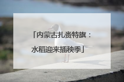 内蒙古扎赉特旗：水稻迎来插秧季