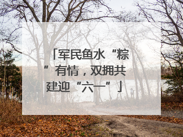 军民鱼水“粽”有情，双拥共建迎“六一”