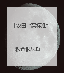 农田“高标准” 粮仓根基稳