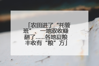 农田进了“托管班”、一地双收赚翻了……各地夏粮丰收有“粮”方