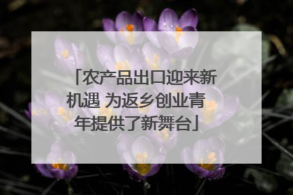 农产品出口迎来新机遇 为返乡创业青年提供了新舞台
